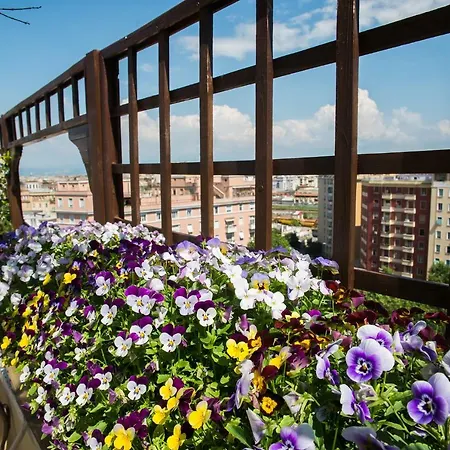 Апартаменты Terrazza Romana Axel Рим
